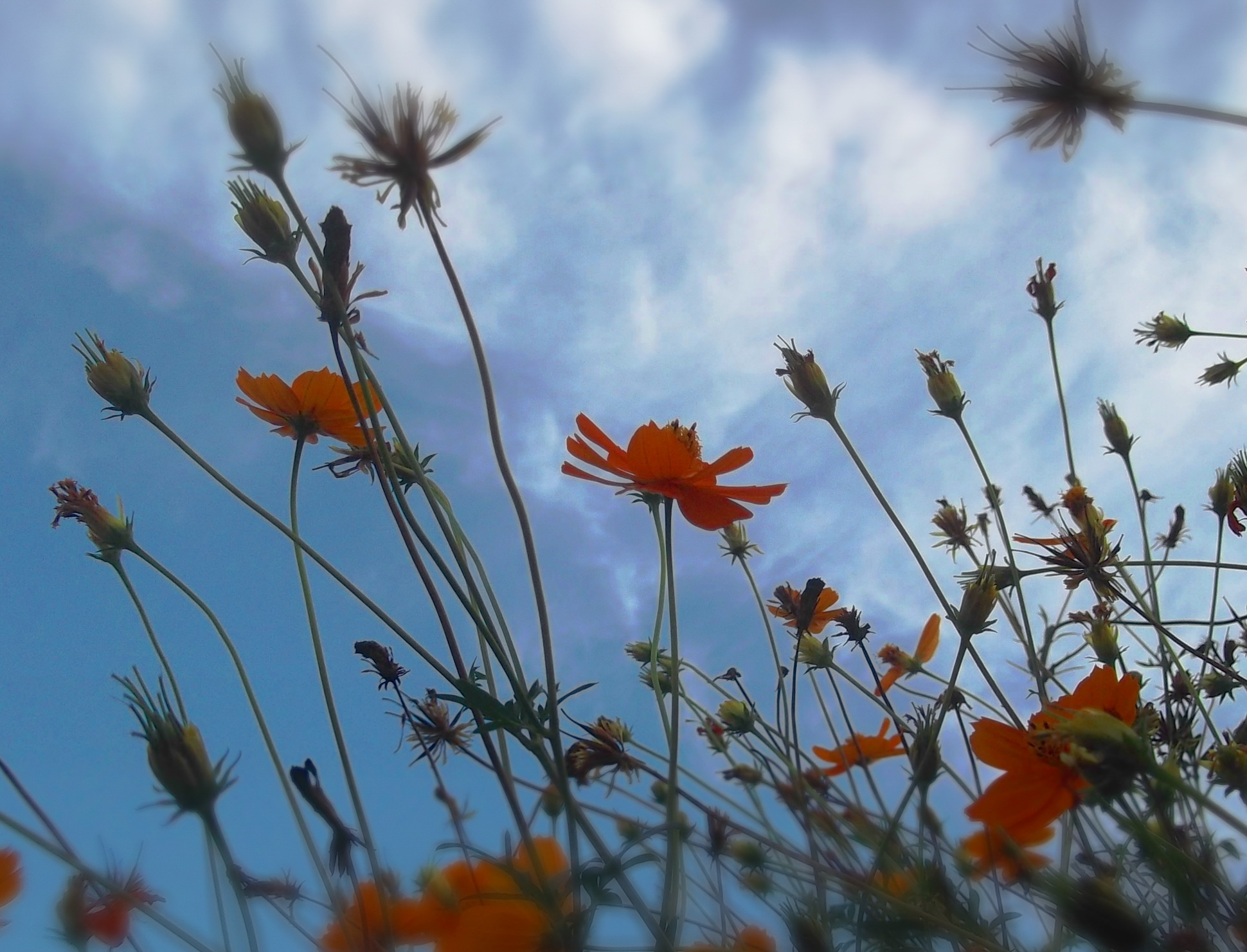 10月のお知らせ・お休みなど
